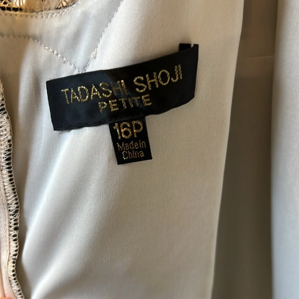 Tadashi Shoji lace cocktail dress - Picture 5 of 11